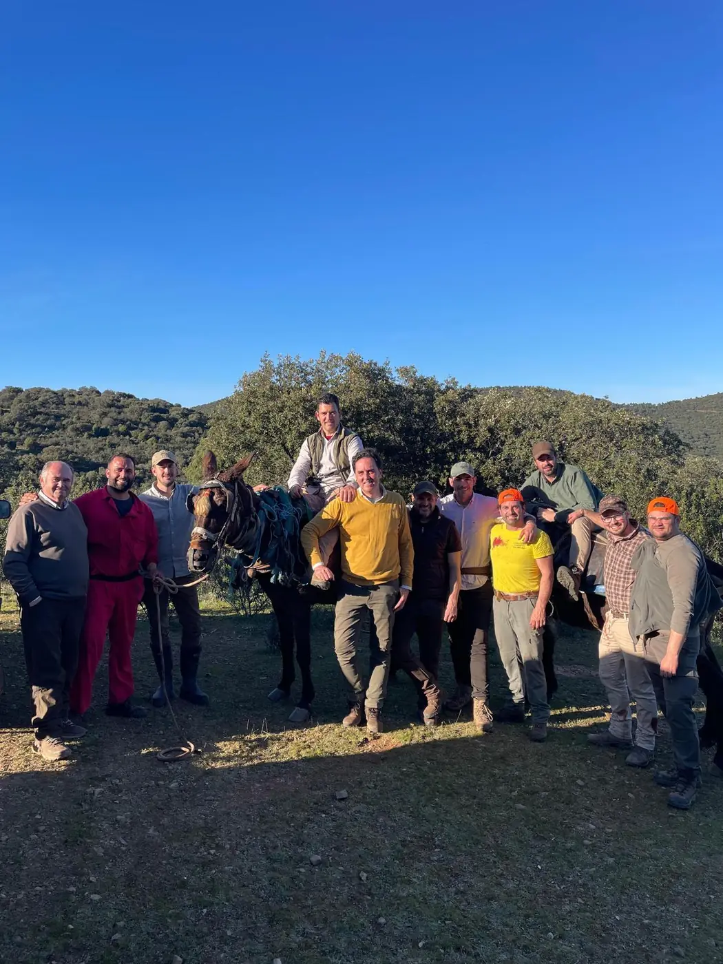 La cuadrilla con las mulas en la sierra